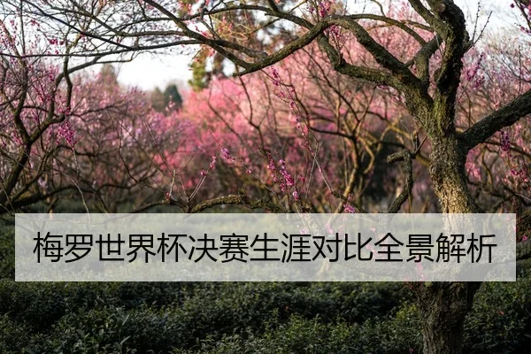 梅罗世界杯决赛生涯对比全景解析